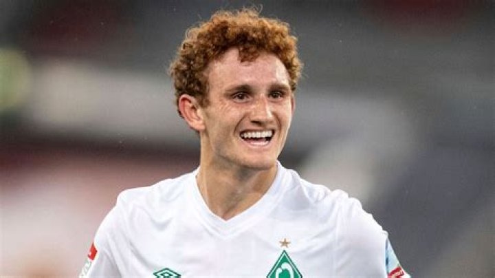All About Josh Sargent | Net Worth, Relationship, Career