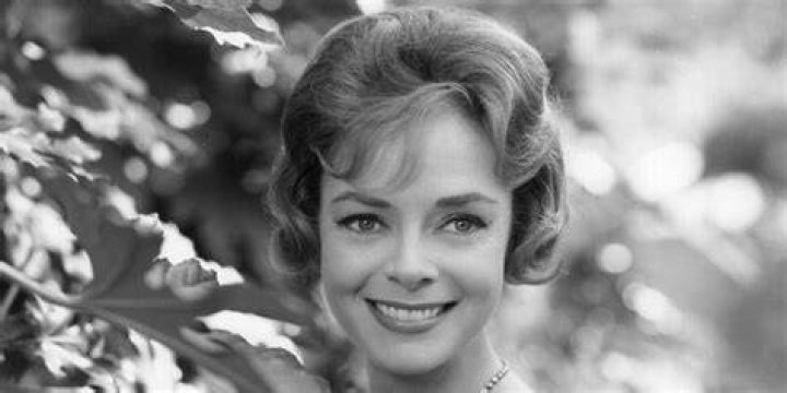 June Lockhart Bio, Daughter, Net Worth, Dead Or Alive?