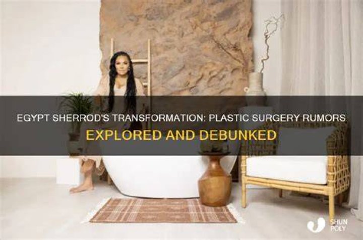 Weight Loss Before And After Plastic Surgery: Egypt Sherrod